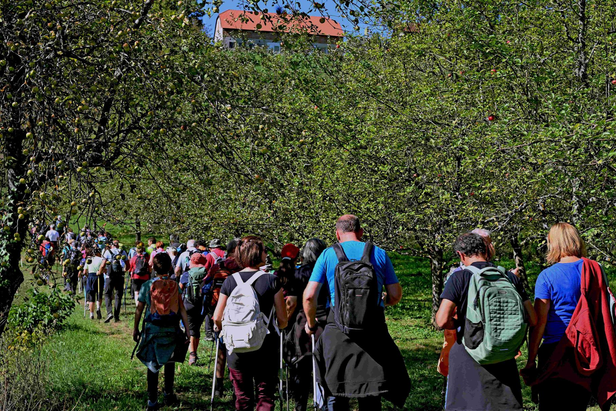 pohod kozjanski sadovnjaki pecice