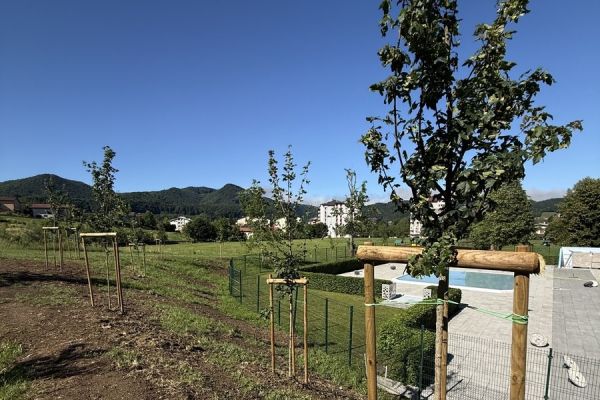 obcina-sevnica-vandalizem-jun-2026-01B33680A8-5EB0-15A3-13B4-256DF6275833.jpg
