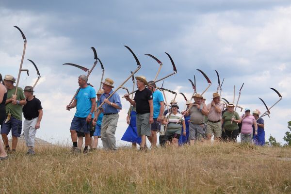 lisca-31F2F473C2-6795-F85D-4161-E3BE9456221D.jpg