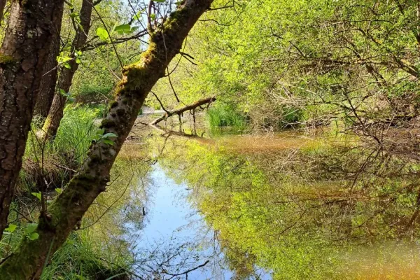 jovsi-natura-kozje-04660BF72F-7046-D746-7DB9-B0D95F773035.webp
